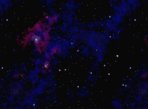 StarBack
